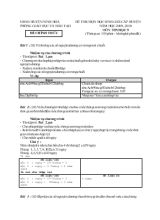 Đề thi chọn học sinh giỏi cấp huyện năm học 2009  2010 môn Tin học 9